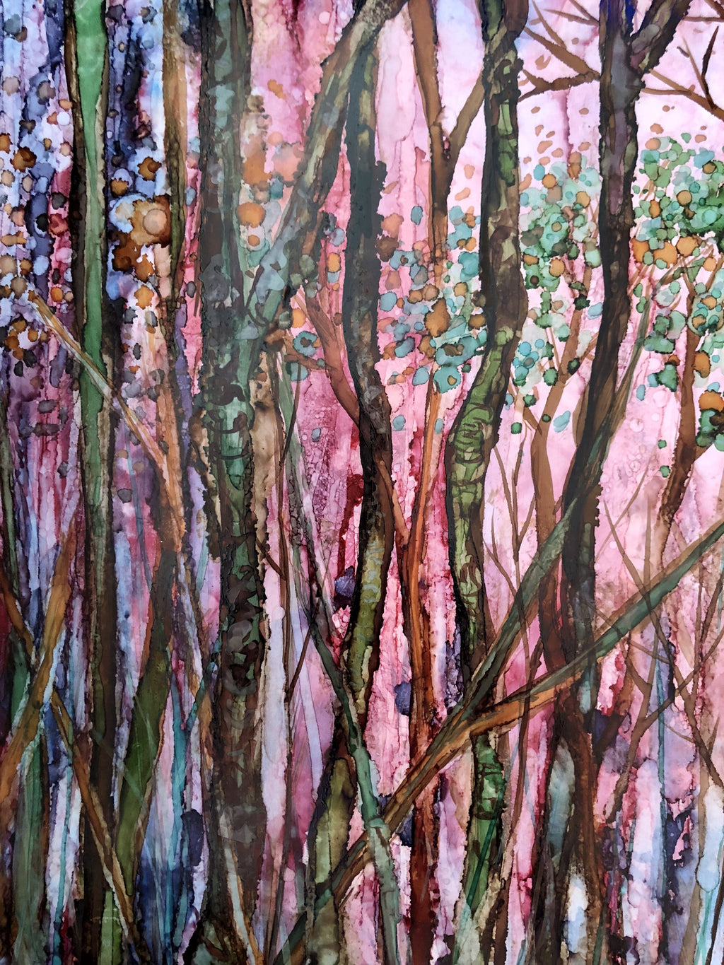 Dreaming in Trees : Art Prints