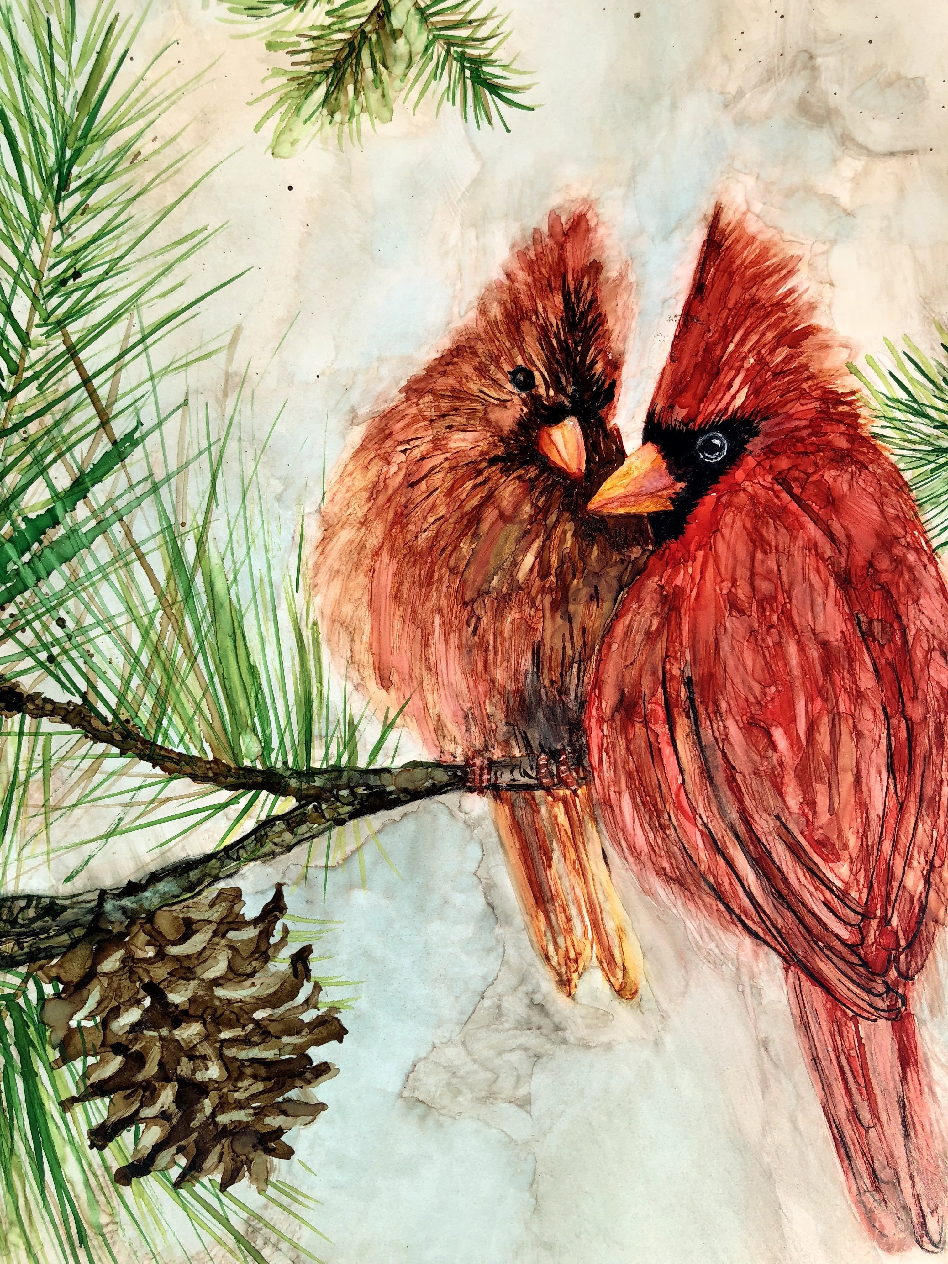 Cardinal Lovebirds : Art Prints