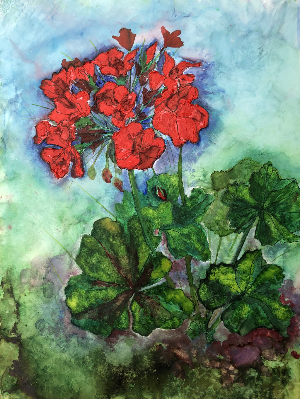 Geraniums : Prints