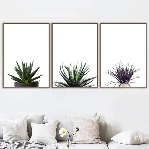 Agave Aloe  Succulents Plant Wall Art Canvas
