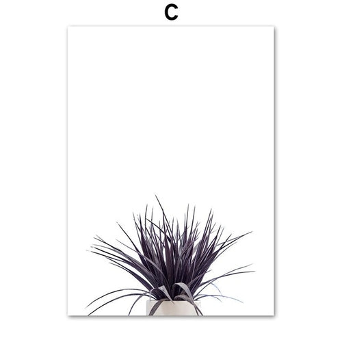 Agave Aloe  Succulents Plant Wall Art Canvas