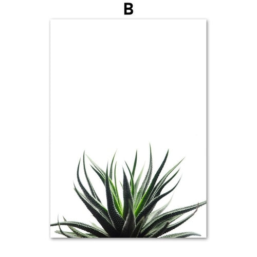 Agave Aloe  Succulents Plant Wall Art Canvas