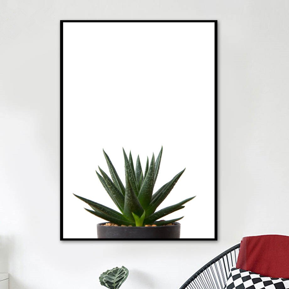 Agave Aloe  Succulents Plant Wall Art Canvas