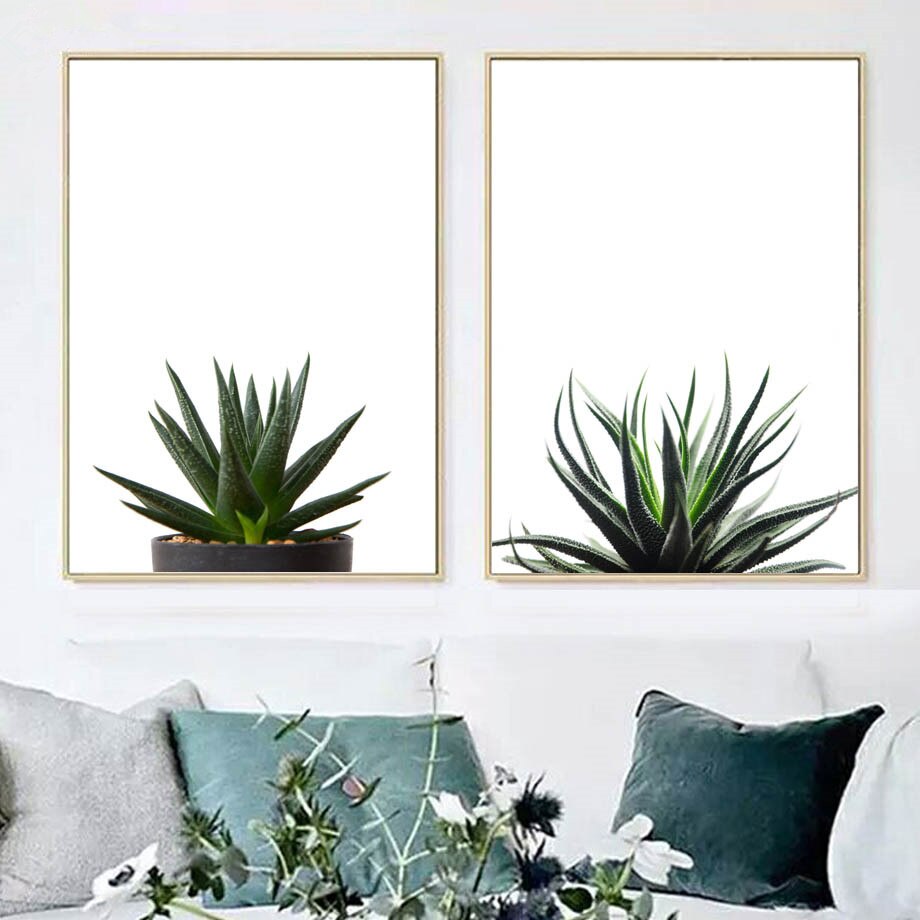 Agave Aloe  Succulents Plant Wall Art Canvas