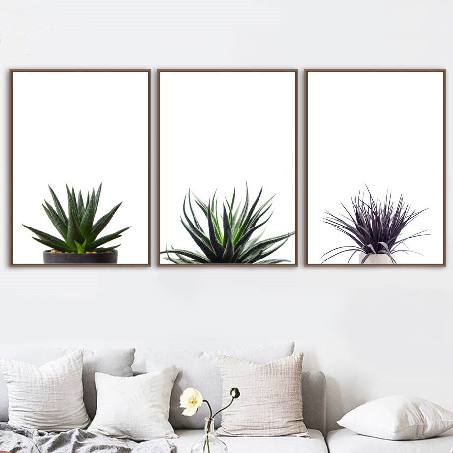 Agave Aloe  Succulents Plant Wall Art Canvas