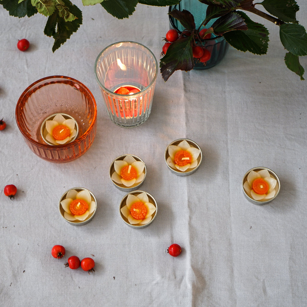 Daffodil Scented Tealights