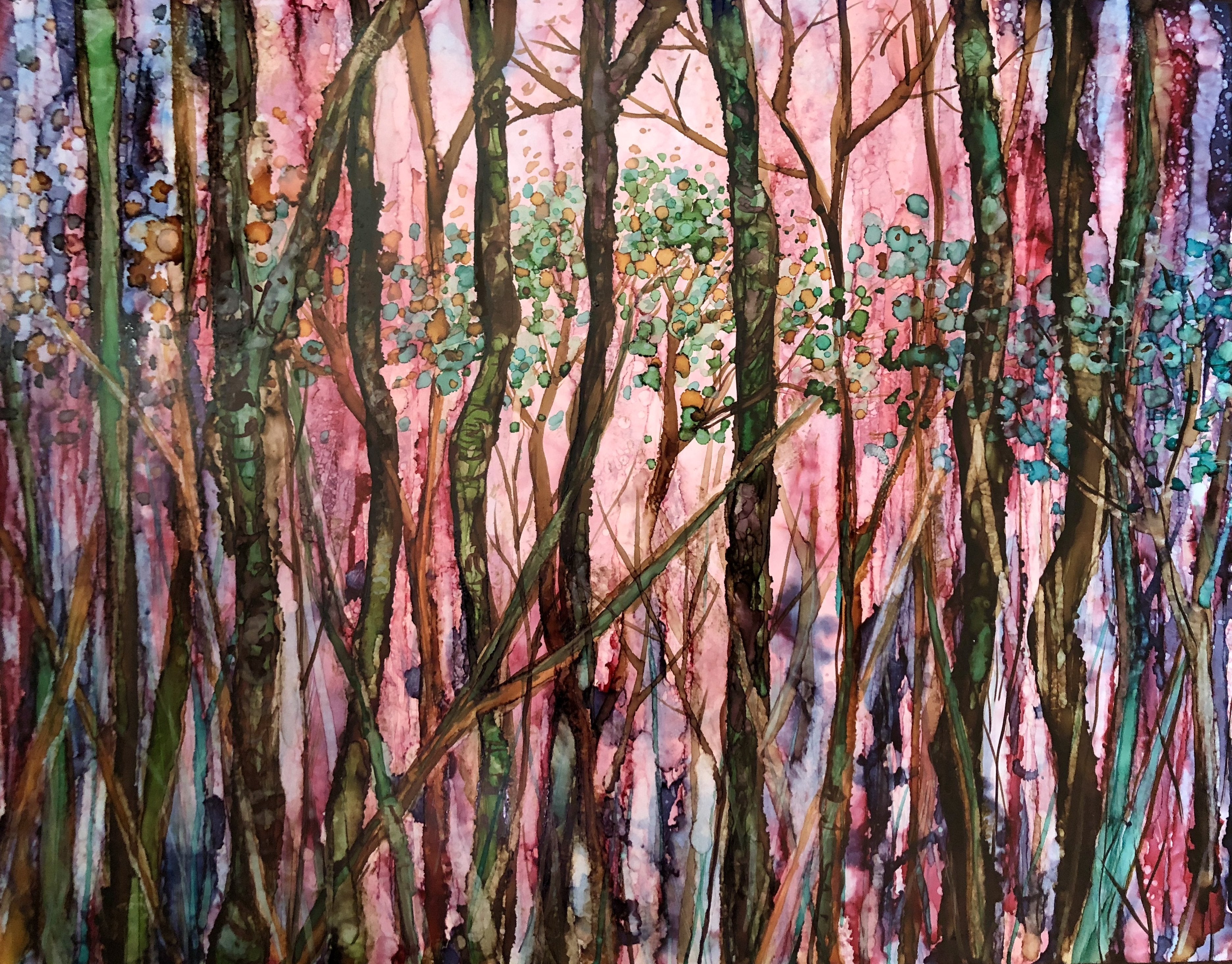 Dreaming in Trees : Art Prints