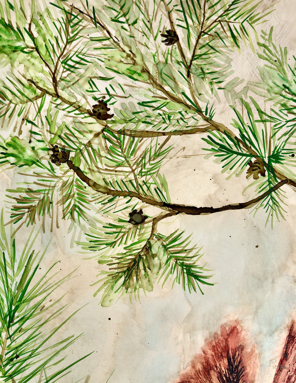 Cardinal Lovebirds : Art Prints