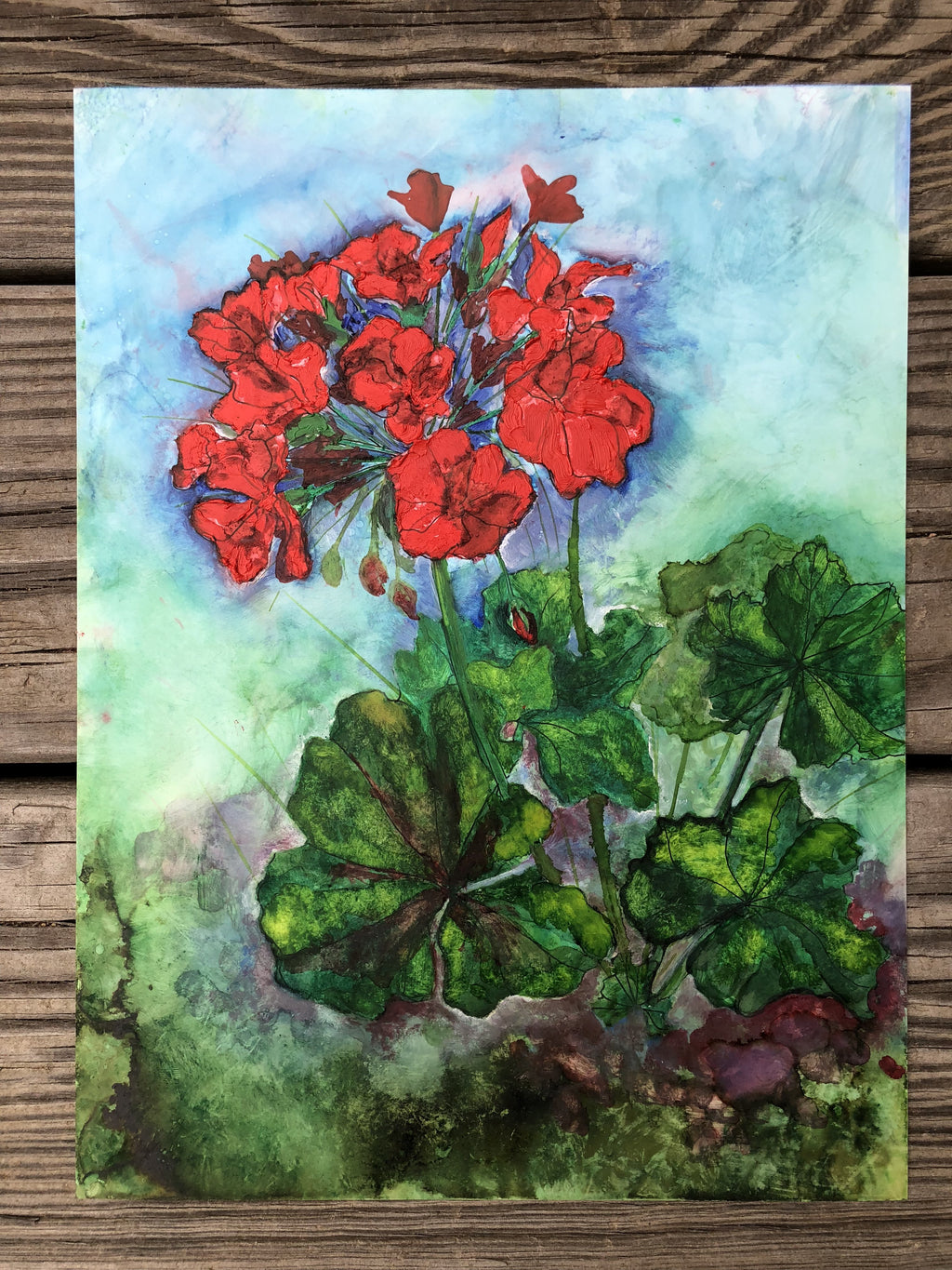 Geraniums : Greeting Card