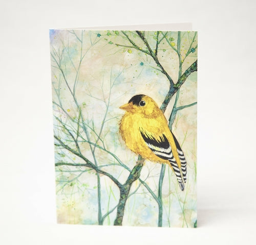 Golden Finch : Greeting Card
