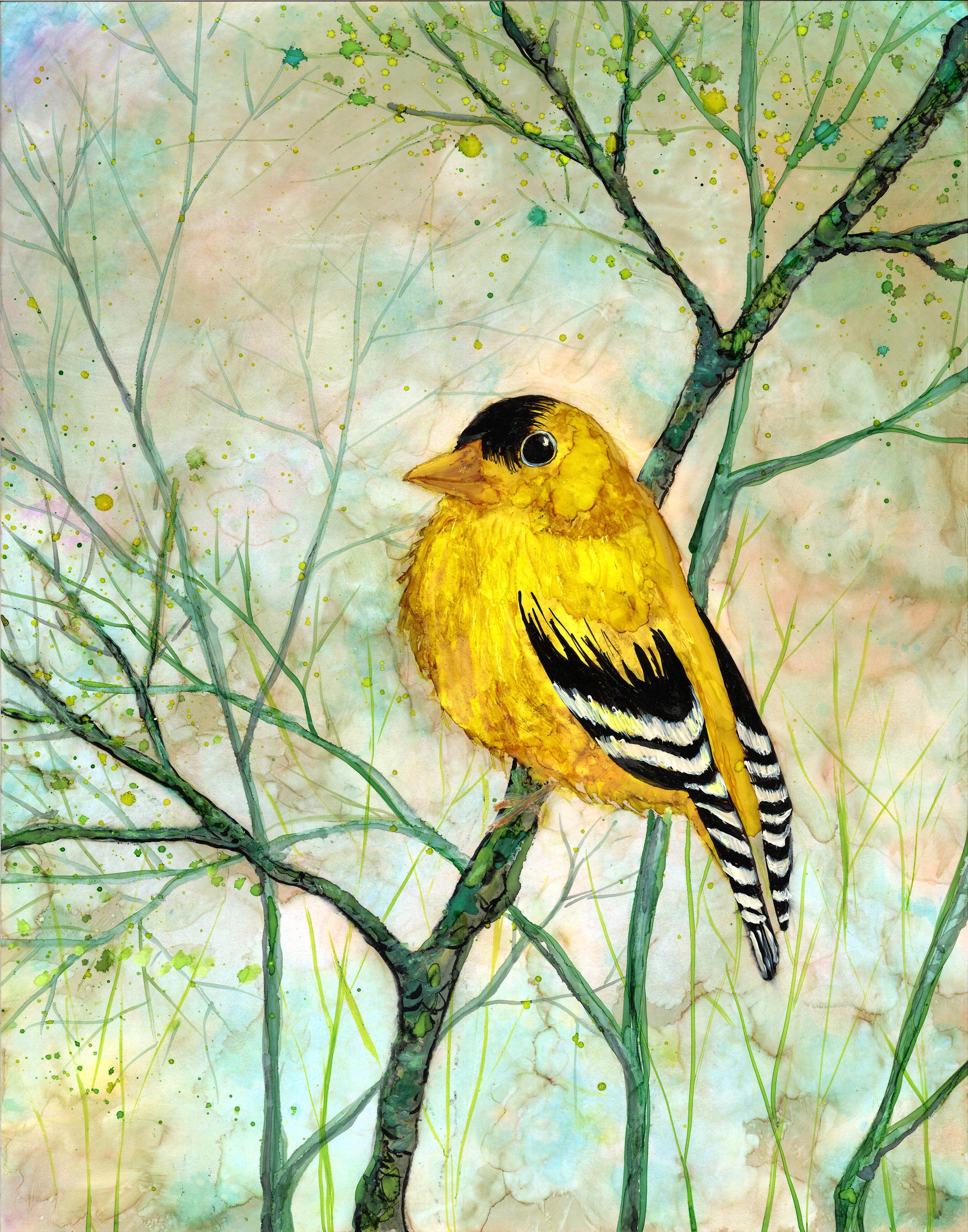 Golden Finch : Greeting Card