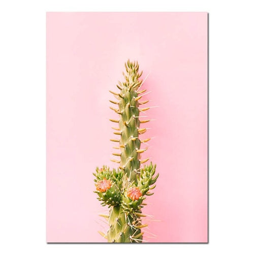 Succulent Plant Cactus Canvas Poster