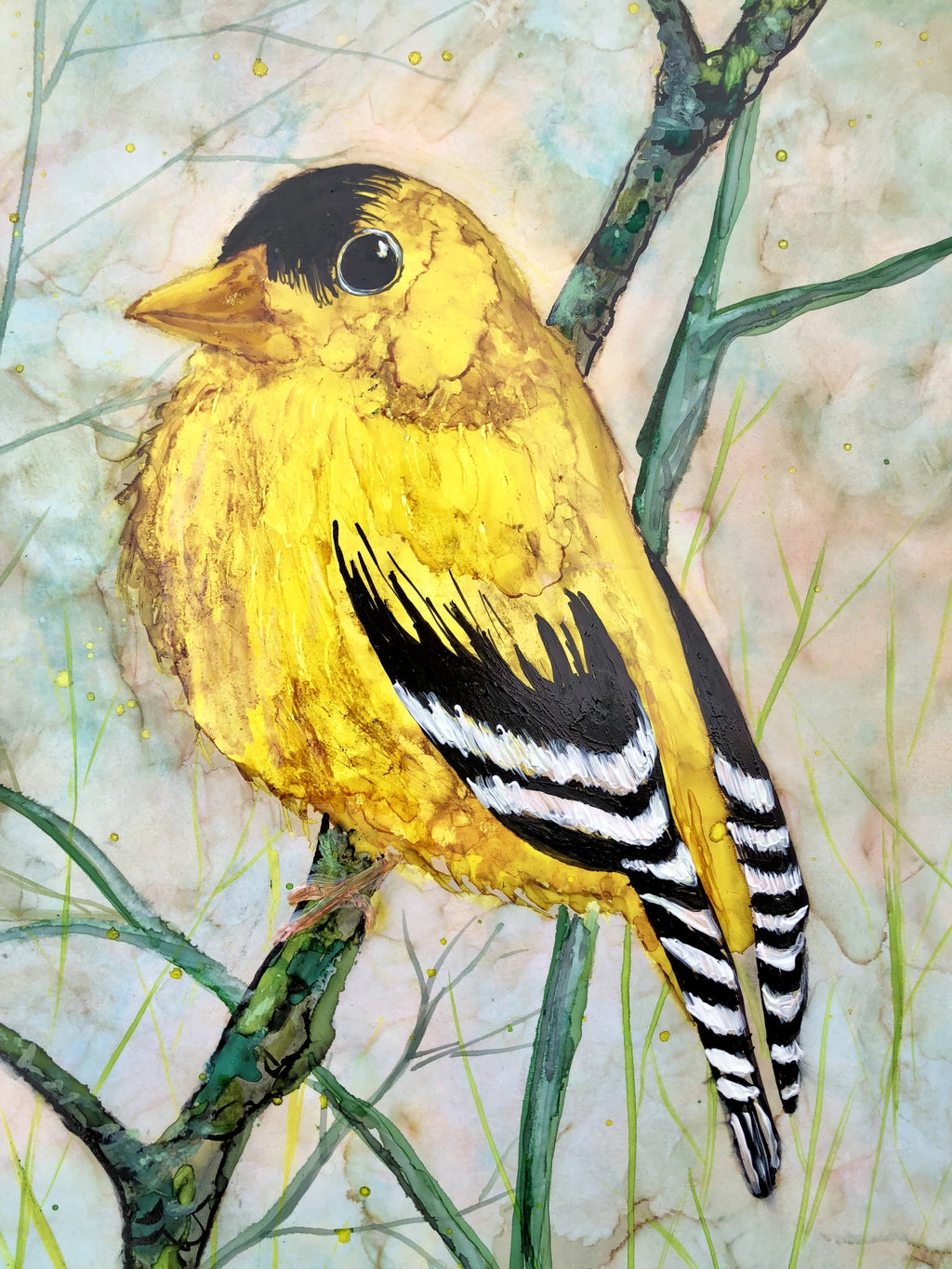 Golden Finch : Greeting Card