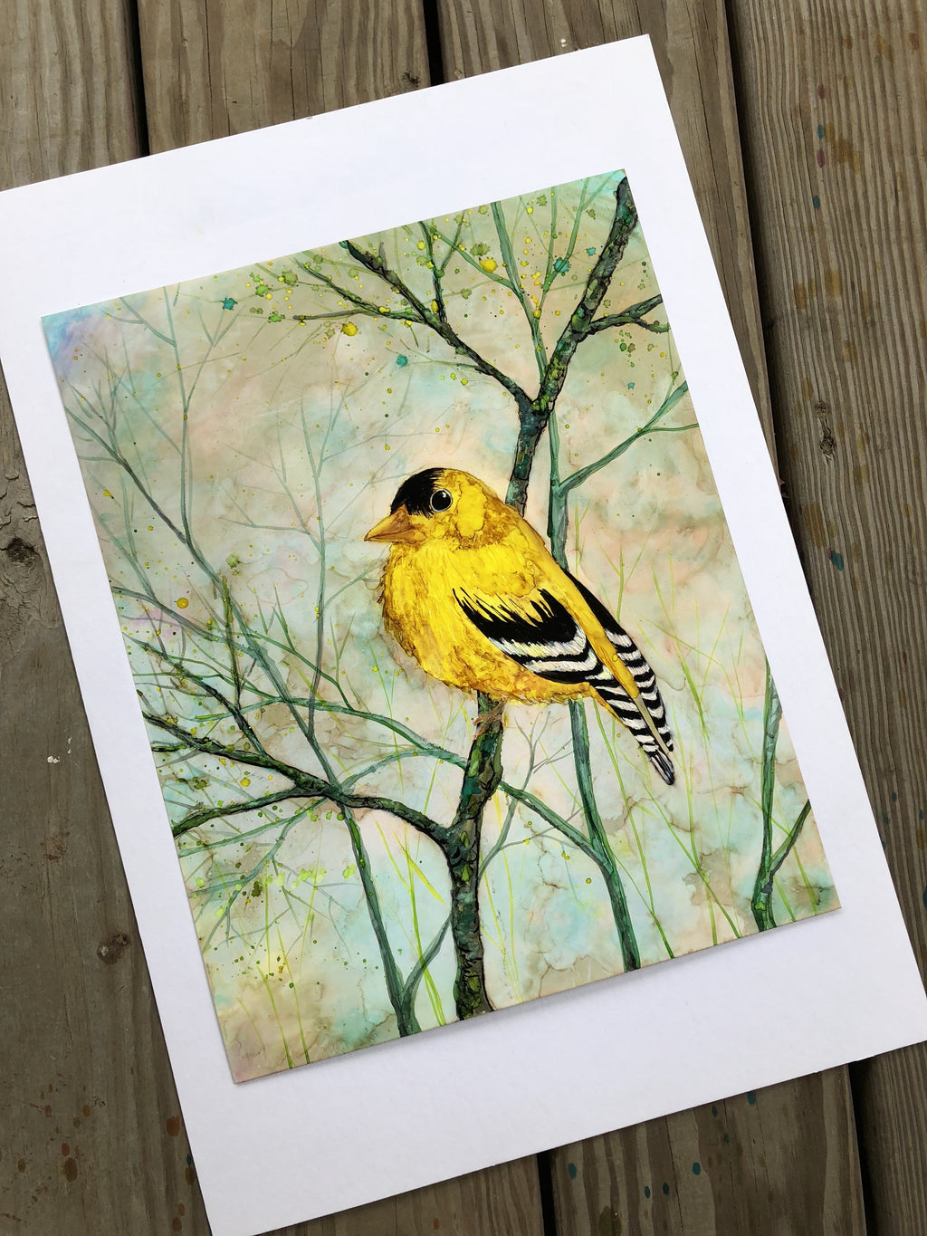 Golden Finch : Greeting Card