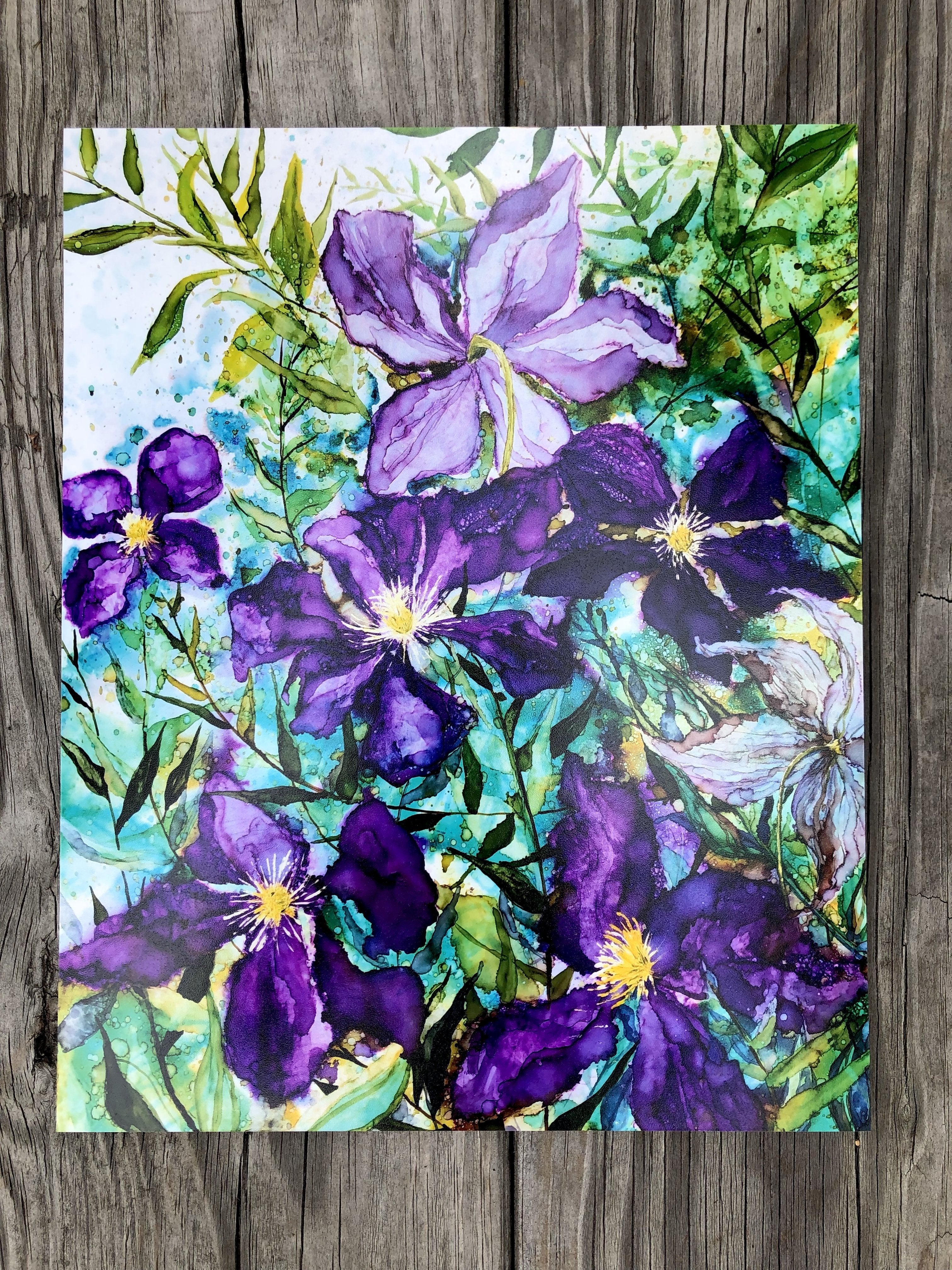 Purple Clematis : Prints