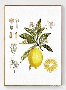 Nordic Art Fruit Lemon Canvas Painting Abstract
