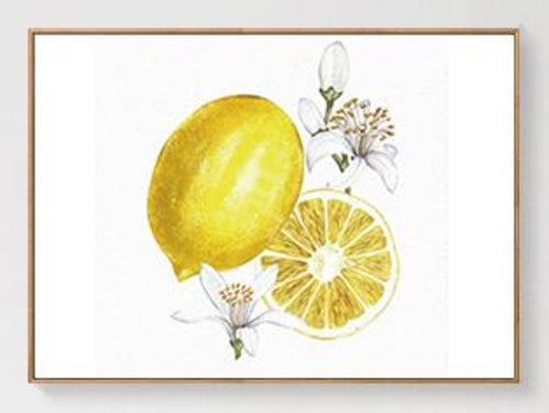 Nordic Art Fruit Lemon Canvas Painting Abstract
