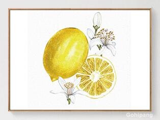 Nordic Art Fruit Lemon Canvas Painting Abstract