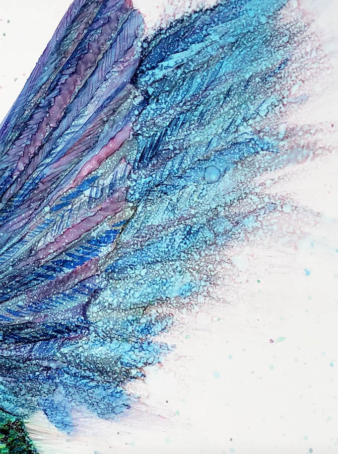 Hummingbird in Flight : Greeting Card