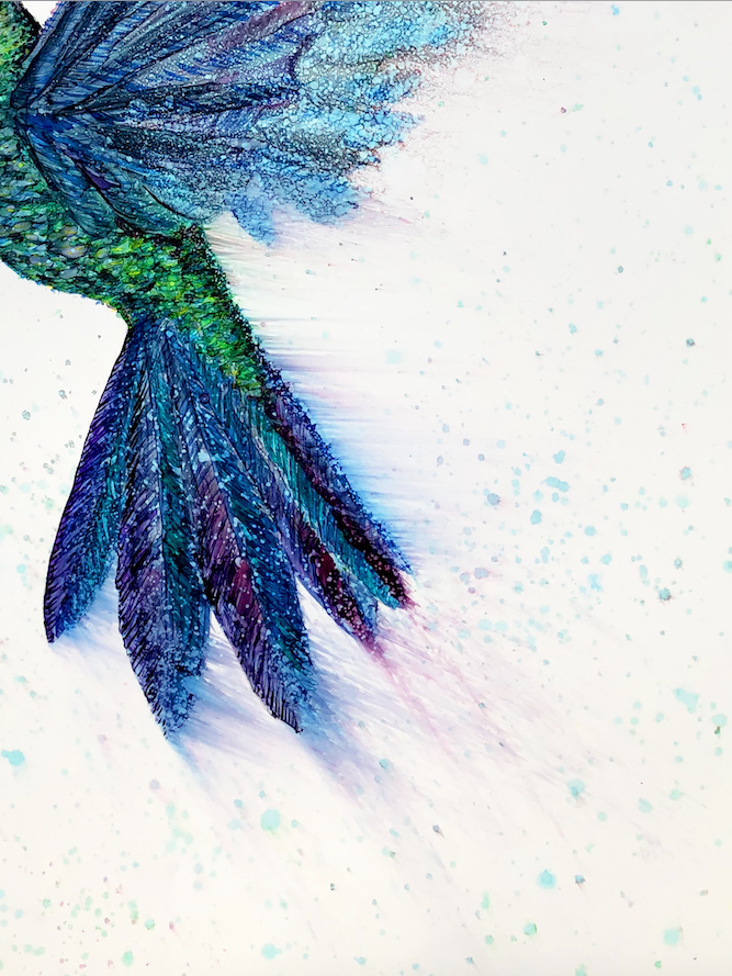 Hummingbird in Flight : Greeting Card