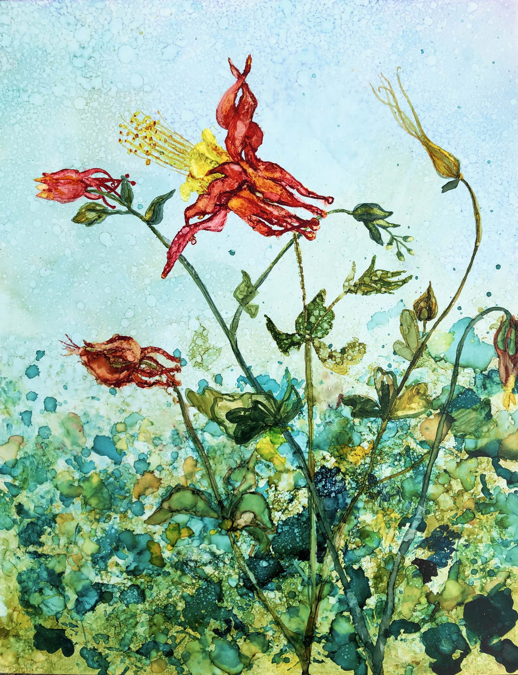 Red Columbine Flowers : Prints