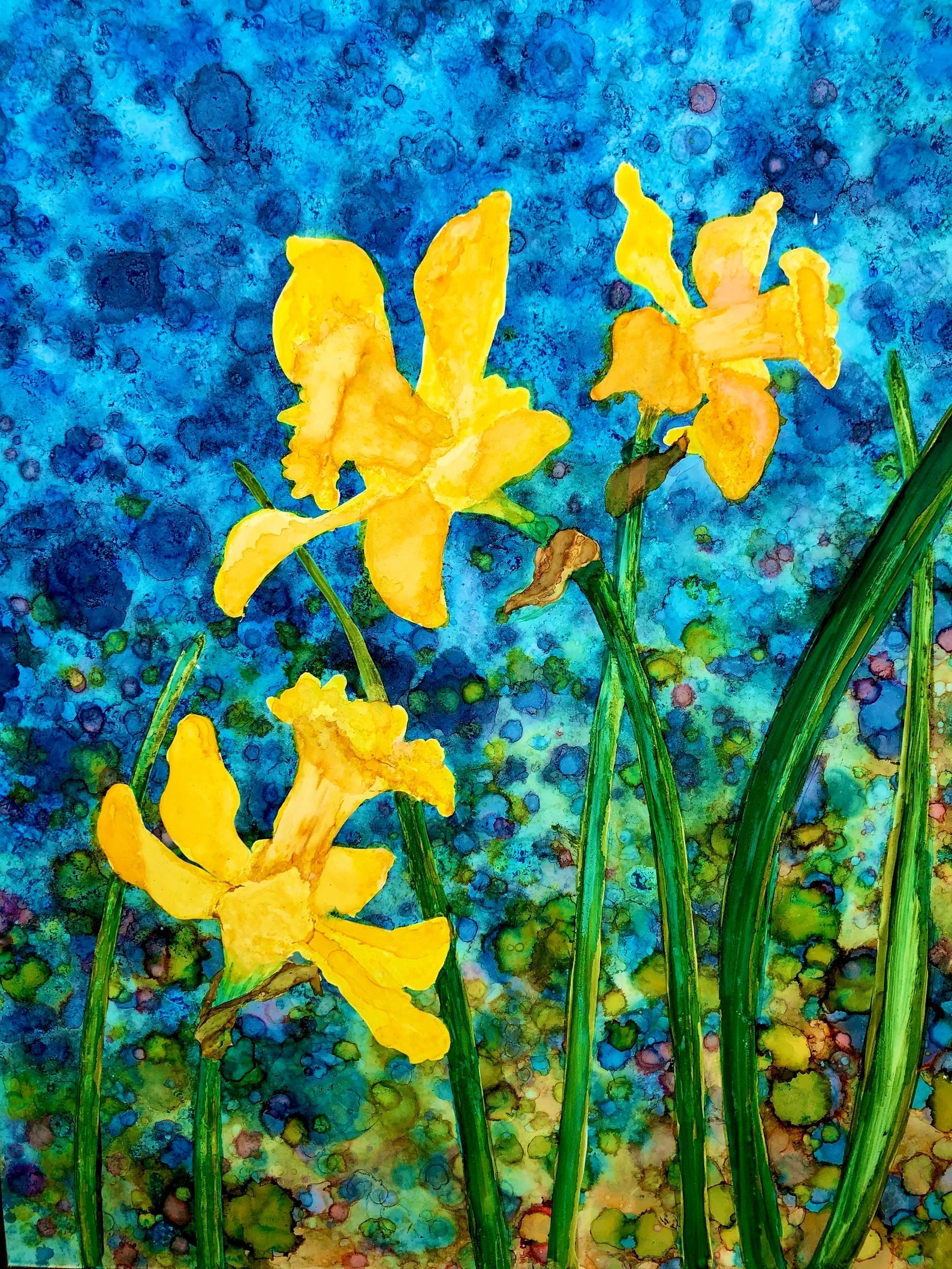 Dancing Daffodils : Art Prints