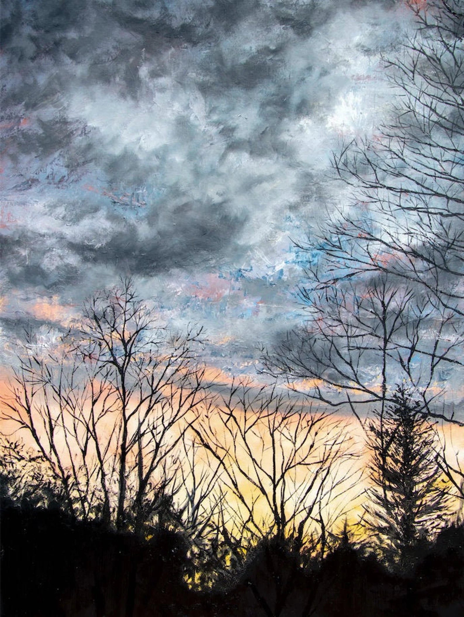 Backyard Sunset : Art Prints