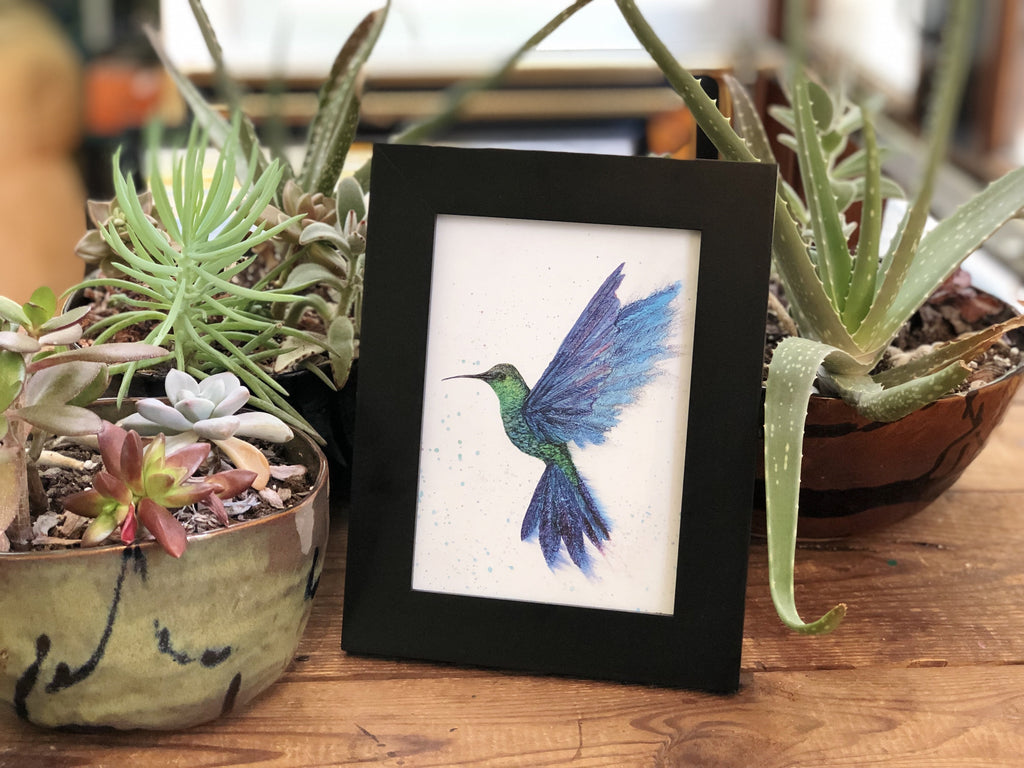 Hummingbird in Flight : Greeting Card