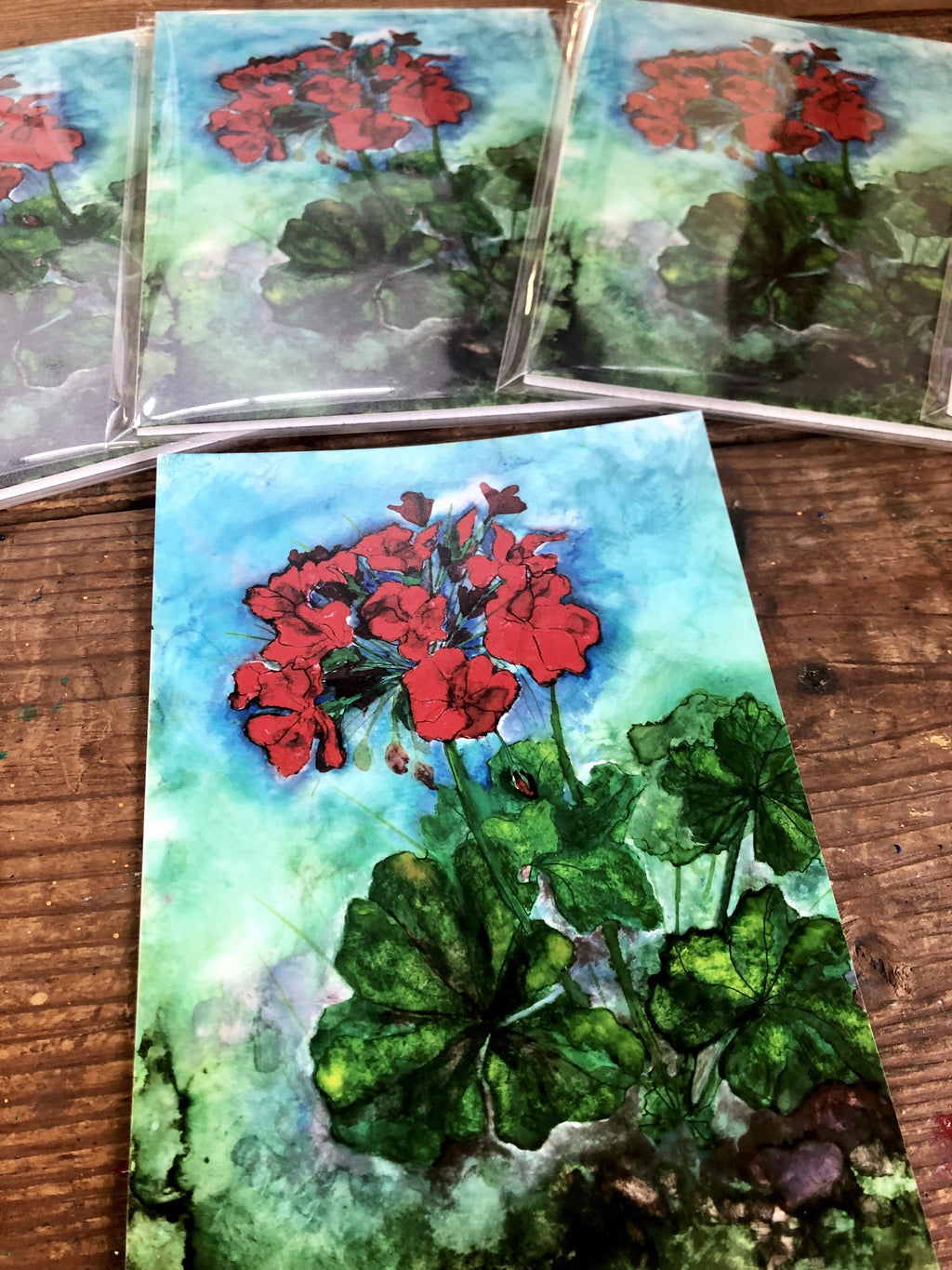Geraniums : Prints