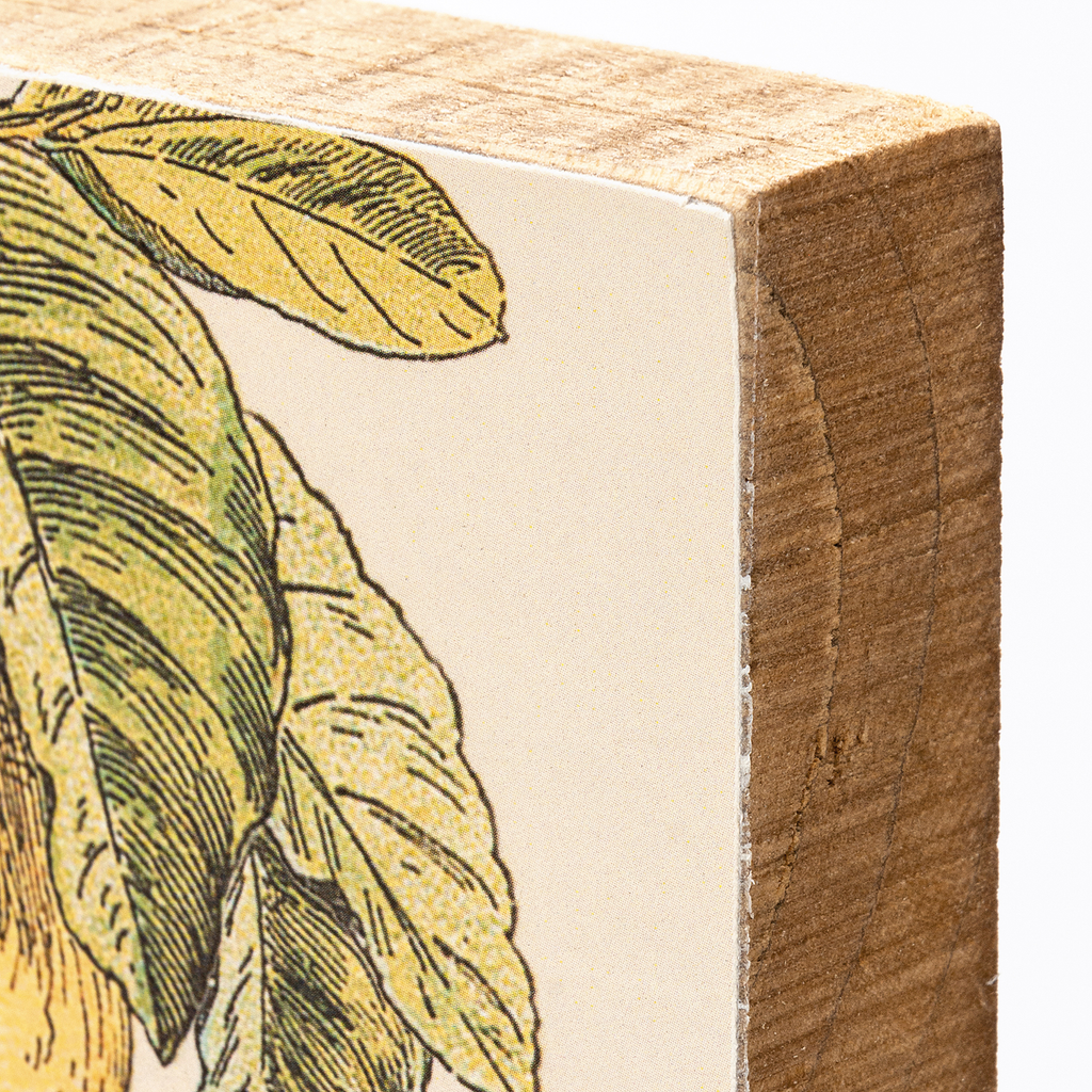Squeeze The Day Inspo Lemon Wooden Block Sign | 4" x 4"